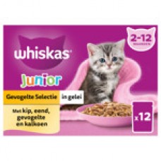 Whiskas MP pouch junior vis/vlees in gelei 12 x 85 gr